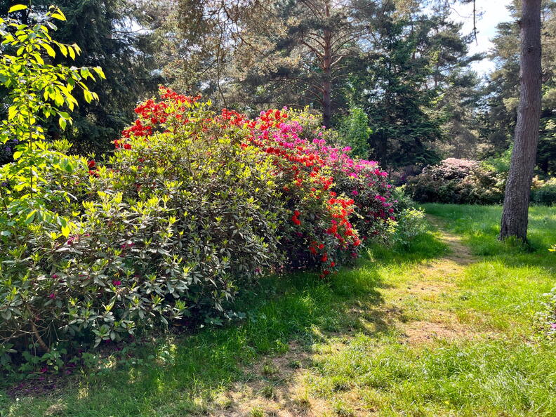 23-06-03 16-46-21 5798